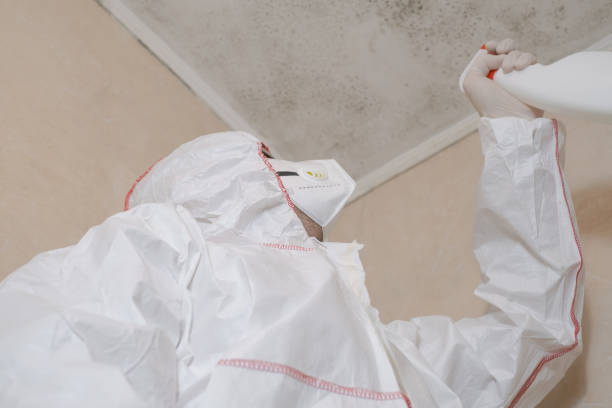 Best Fast Mold Removal  in Bloomingdale, TN